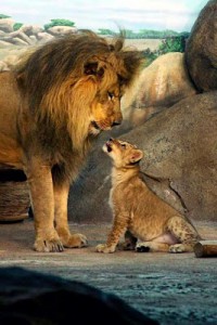 Lion of Judah and cub